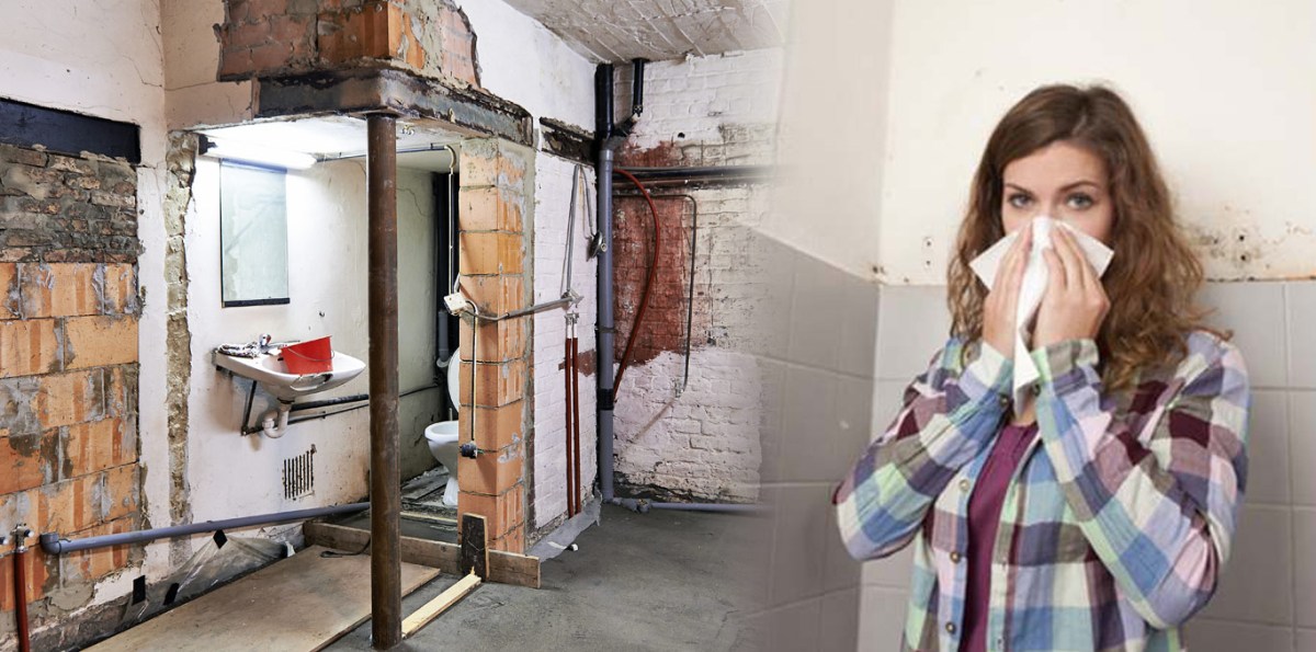 Importance of Mold Inspection in Homes and&nbsp;Offices